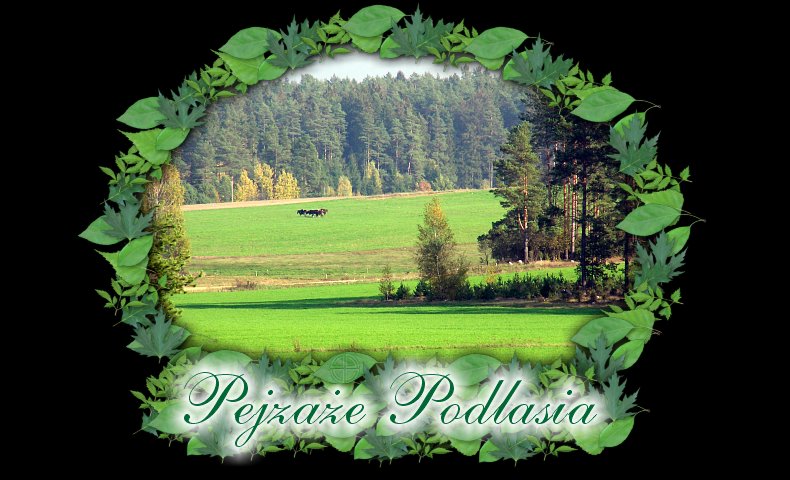 podlasie pejzae zdjcia fotografie album fotogaleria marcin storonowicz